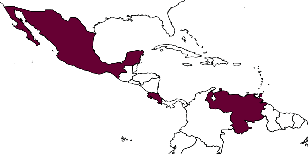map of Ceyxia perparva     Andrade & Tavares, 2009
